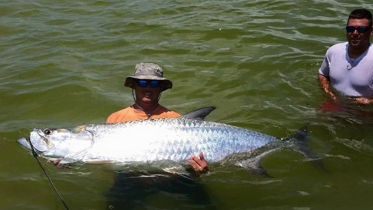 Tampa Fishing Charters | 4 To 8 hour Tarpon Fishing